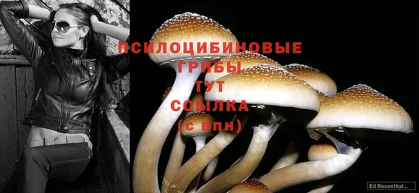 ECSTASY Богородск