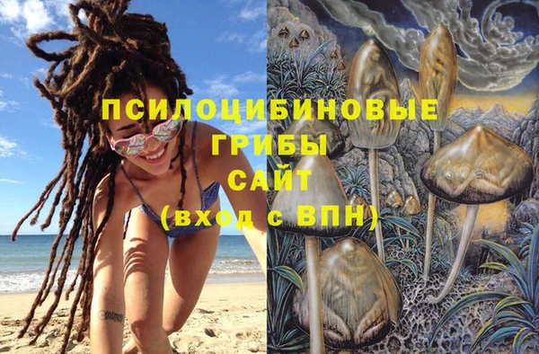 ECSTASY Богородск