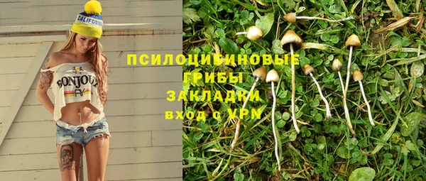 винт Богданович