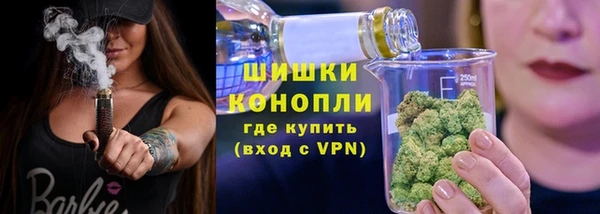 винт Богданович