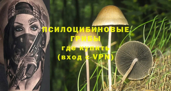 индика Тавда