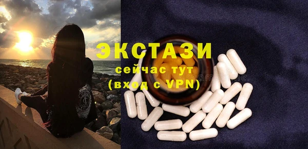 ECSTASY Богородск