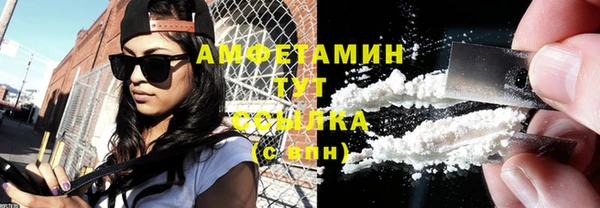 индика Тавда