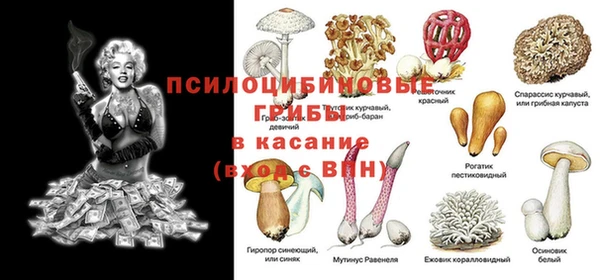 ECSTASY Богородск