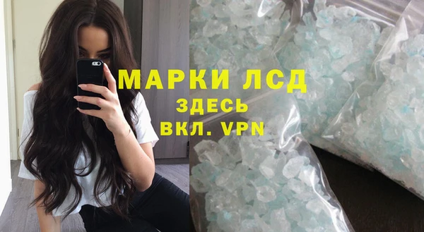 винт Богданович